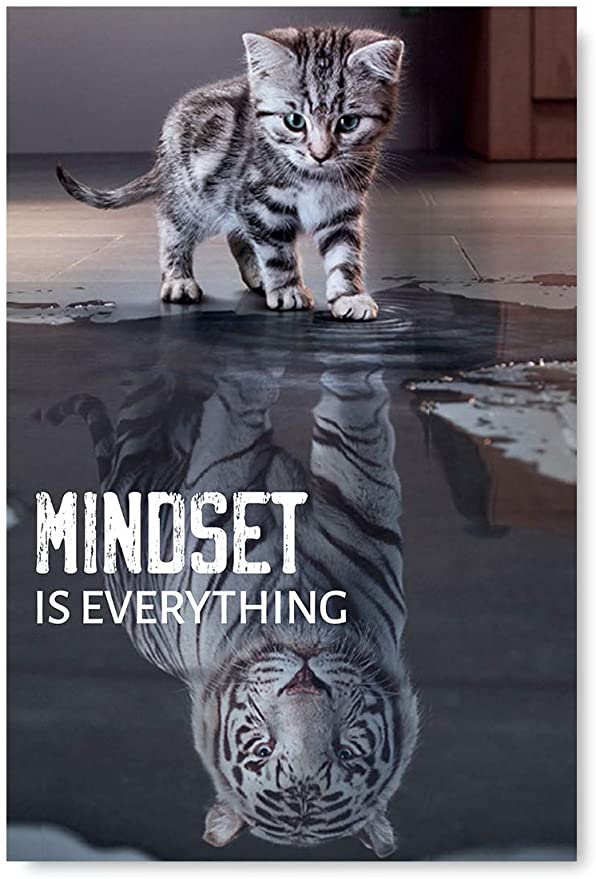 Mindset is Everything quote with baby striped kitten seeing themselves as a strong tiger